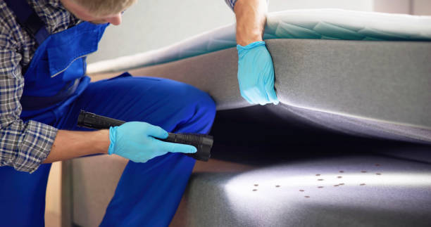 Best Pest Control for Businesses  in Petoskey, MI