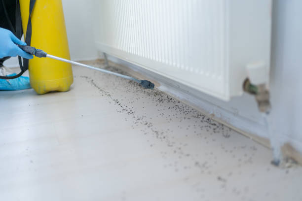 Best Exterminator Services  in Petoskey, MI